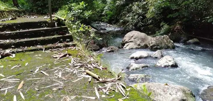 Jual tanah tabanan gunung salak selemadeg tabanan