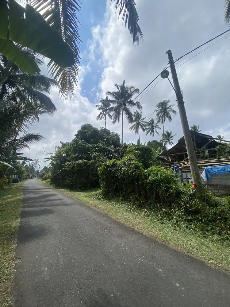 Jual tanah dekat penebel senganan tabanan bali