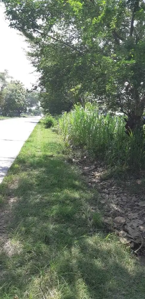 DIJUAL TANAH/ LAHAN INDUSTRI GROBOGAN