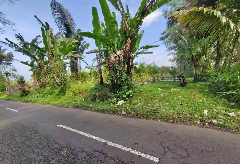 Dijual tanah taro ubud gianyar 20are