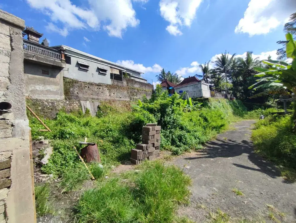 Dijual Tanah Dilokasi Tenang Jl kamboja Mengwi badung