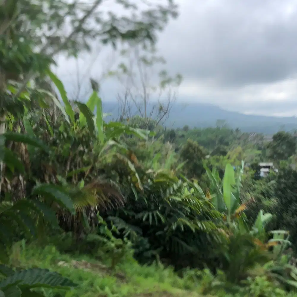 Dijual tanah Tabanan Penebel