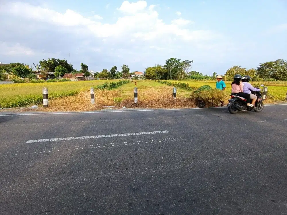 Tanah Murah Jogja dijual cepat dekat SMA N 1 GODEAN , SHM P