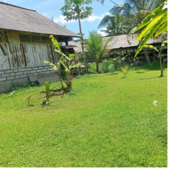 Di jual tanah view sungai besar tabanan penebel