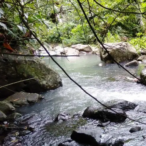 di jual tanah los sungai selemadeg tabanan