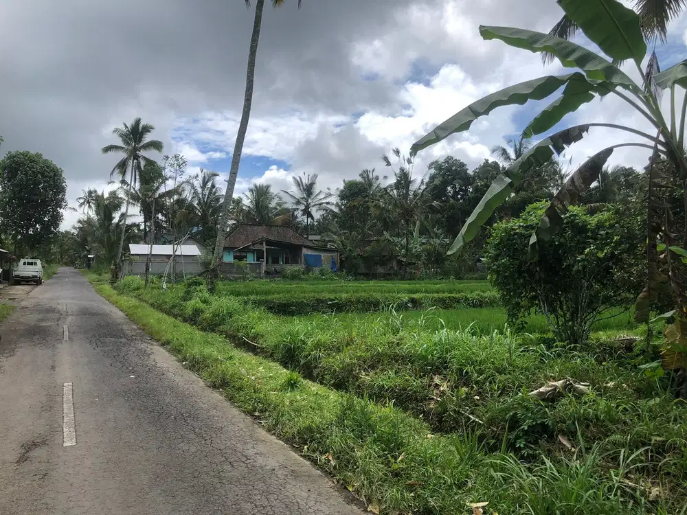 Dijual tanah ubud taro saip bangun lebar 120m