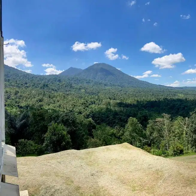 jual tanah jatiluwih penebel bonus rumah kayu