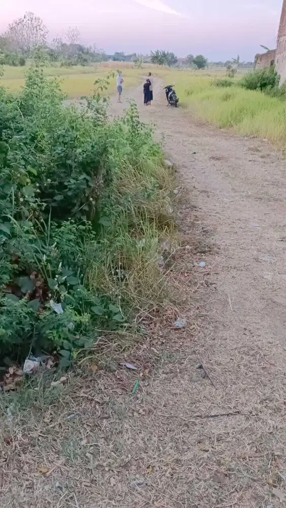 Tanah Murah Balongpanggang Gresik