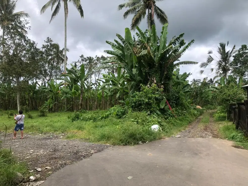 Dijual tanah ubud taro depan hotel