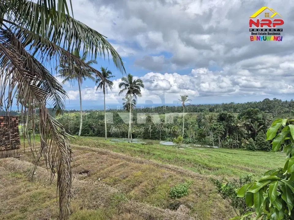 Dijual Tanah Murah Dengan View Sangat Cantik Di Licin Banyuwangi