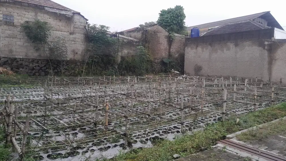 Jual Tanah Cihanjuang Bandung Barat 105 meter dekat universitas advent