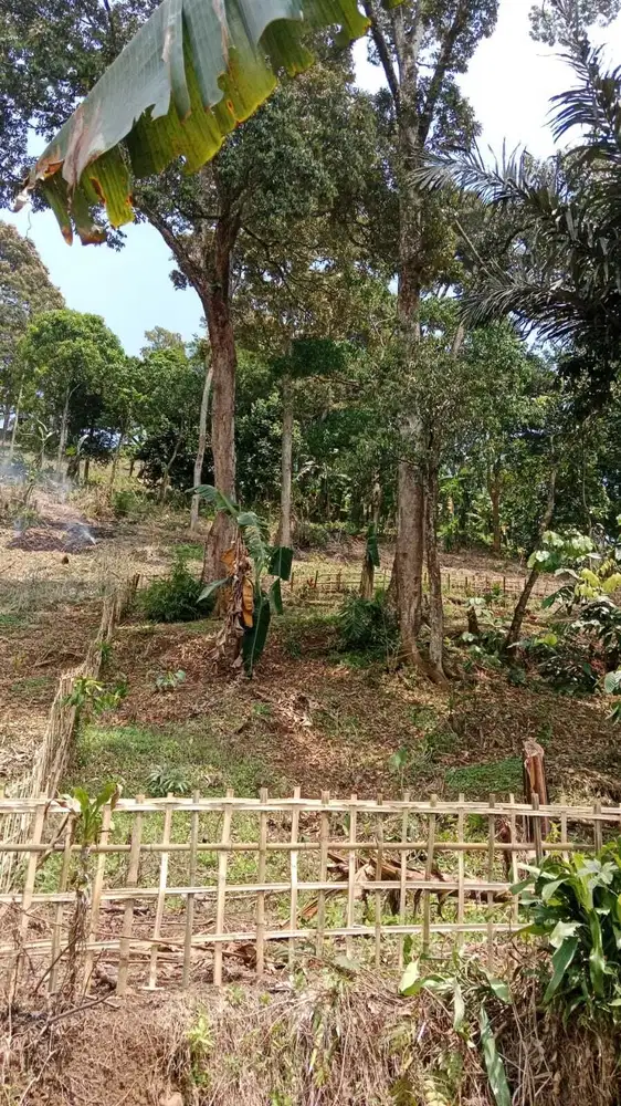 Jual tanah murah LT 2474m², shm,  dekat toll BSD