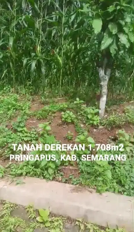DIJUAL TANAH SEBELAH PERUMAHAN KLEPU PRINGAPUS, KAB. SEMARANG
