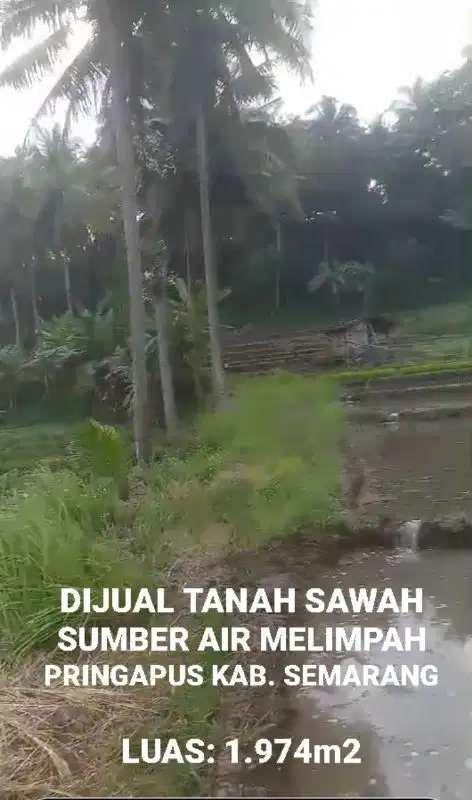 DIJUAL TANAH MURAH PRINGAPUS KAB. SEMARANG