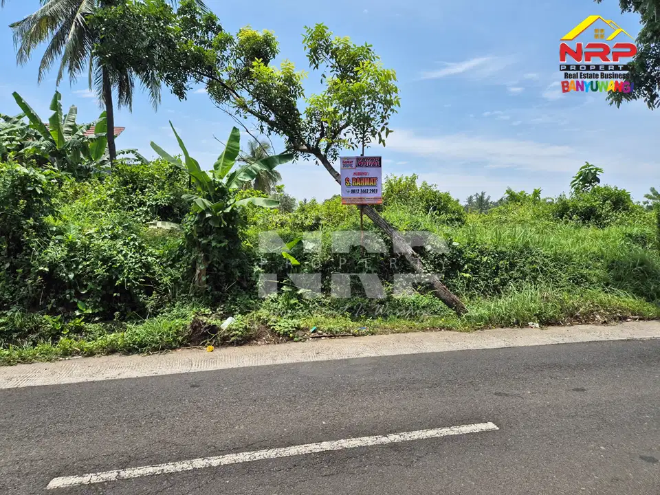Dijual Tanah Prospek tepi Jl. Kemiren - Banyuwangi