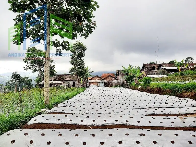 Tanah pekarangan suasana pegunungan di Selo Boyolali