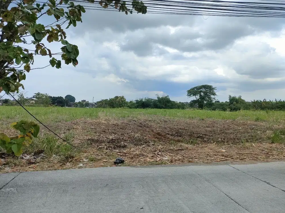 Tanah Status Kering di Gagaksipat Boyolali