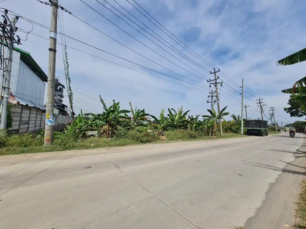 Tanah Dijual : Loireng, Sayung, Demak