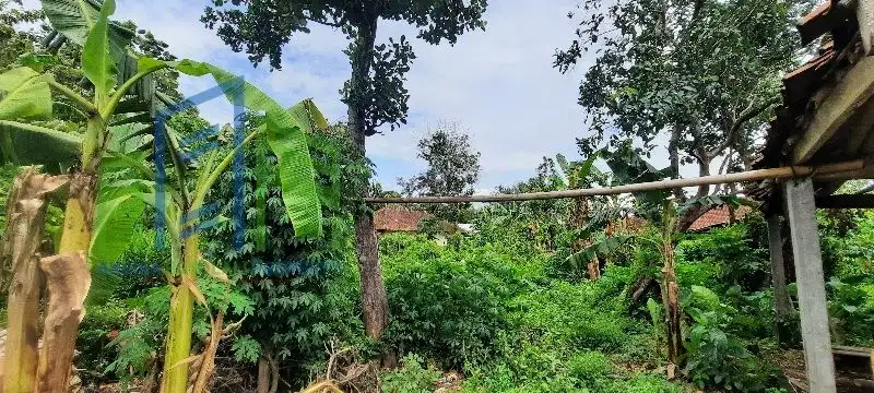 Dijual tanah pekarangan murah di teras Boyolali