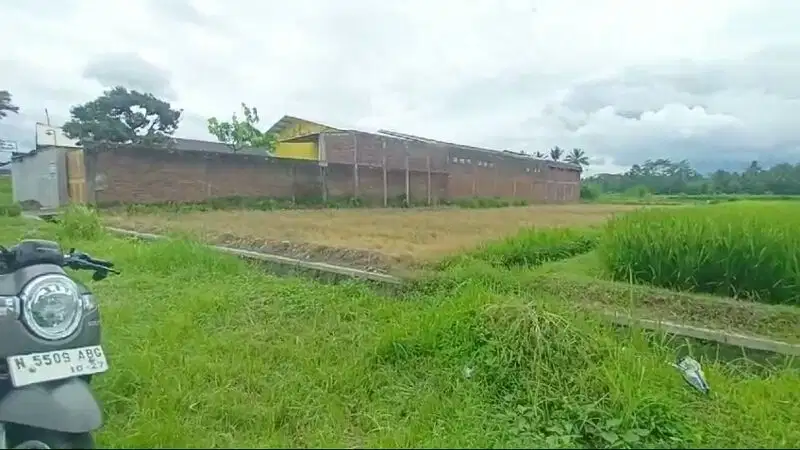 Tanah poros aspal banjarsari pakis tumpang malang