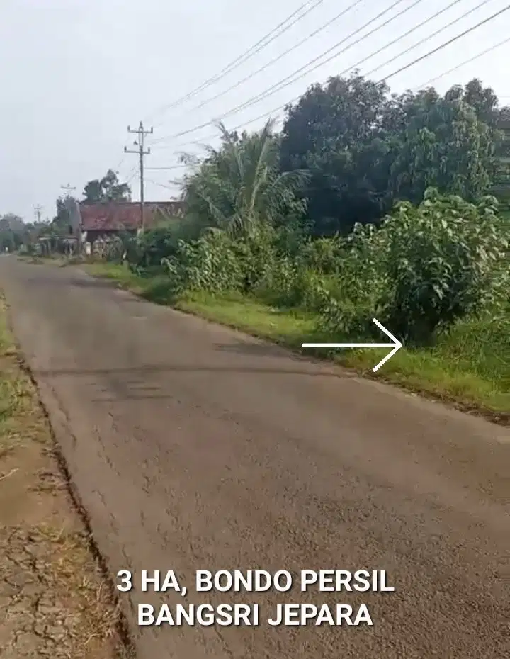 JUAL TANAH JEPARA, ZONA INDUSTRI, BANGSRI, JEPARA