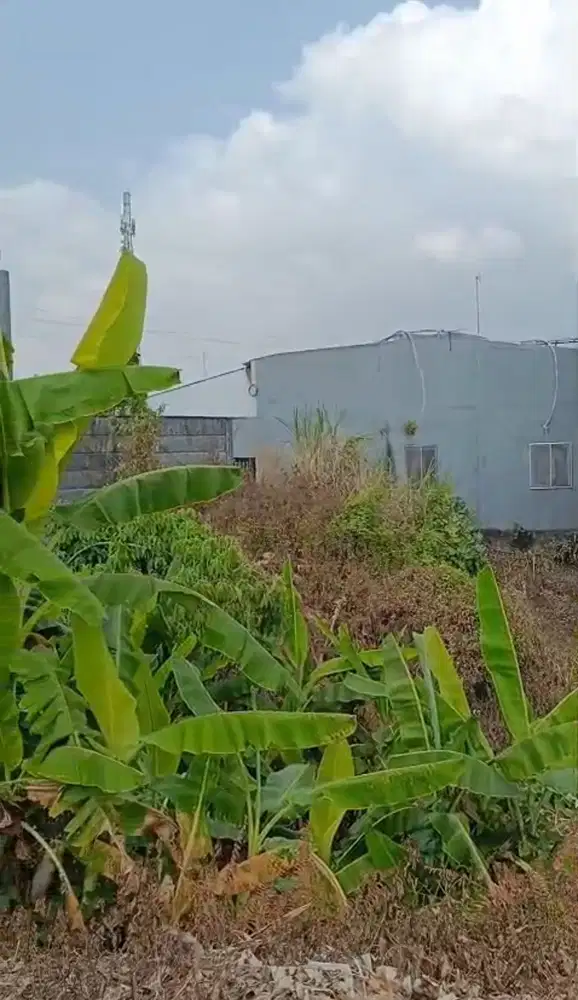 Dijual Tanah Produktif Tepi Jalan Diponegoro Ungaran Jawa Tengah