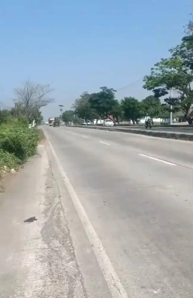 Di jual tanah sawah tadah hujan cocok buat gudangdi subàng jawa barat