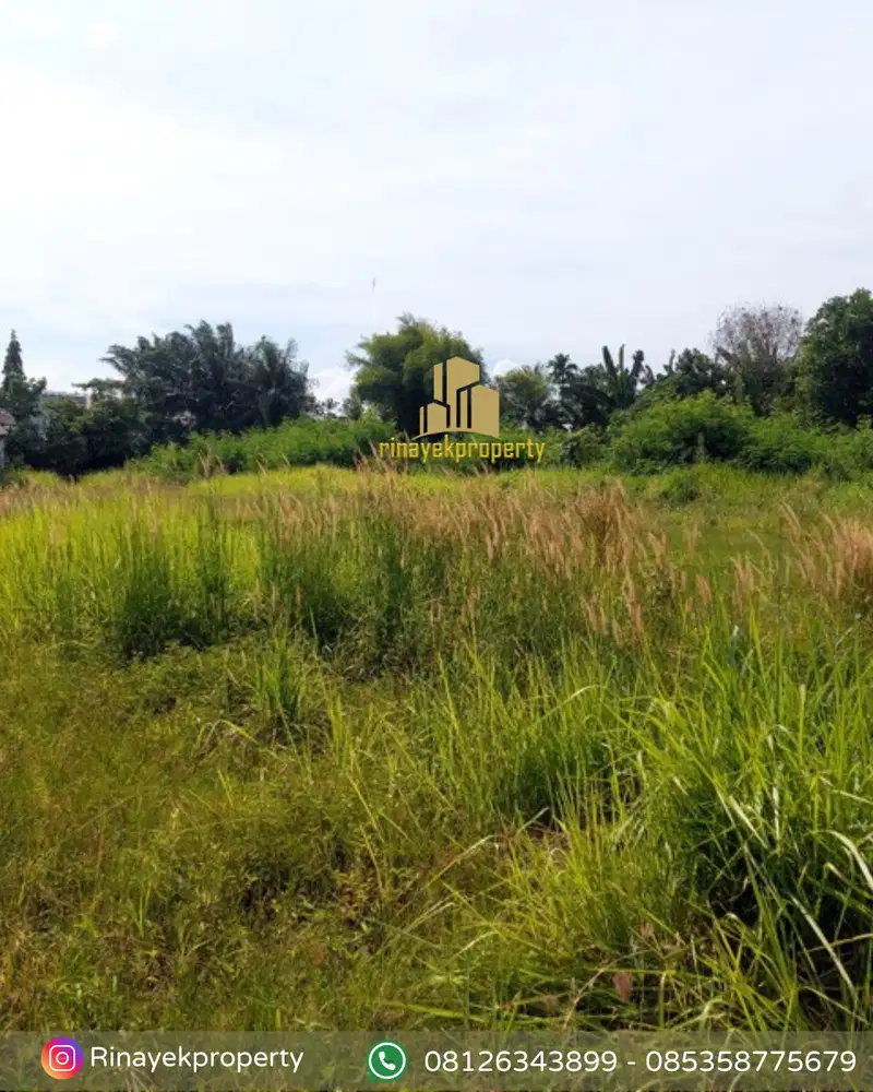 Disewakan Daerah Batang Kuis Gg rotan. Tj Morawa