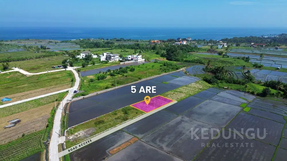 Tanah Premium di kedungu bali