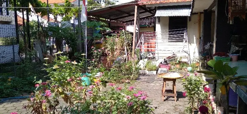 Dijual Tanah Bonus Bangunan Lama Halmahera Semarang