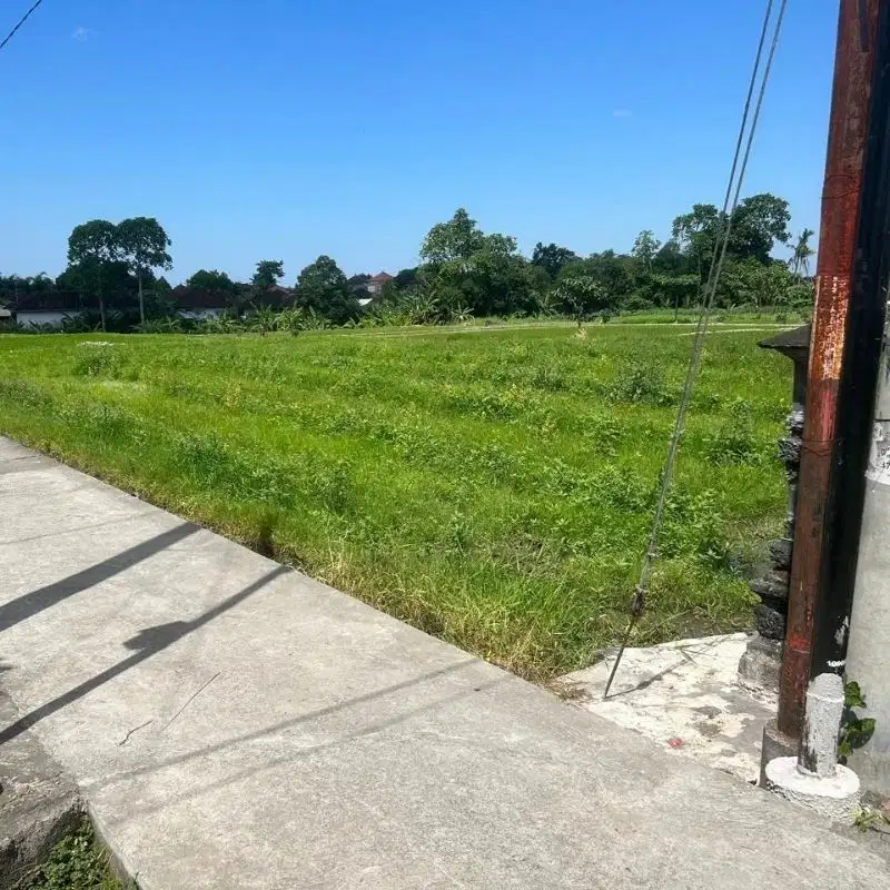 tanah murah zona kuning di buduk prerenan