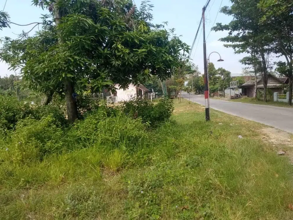 DIJUAL TANAH ZONA INDUSTRI GROBOGAN