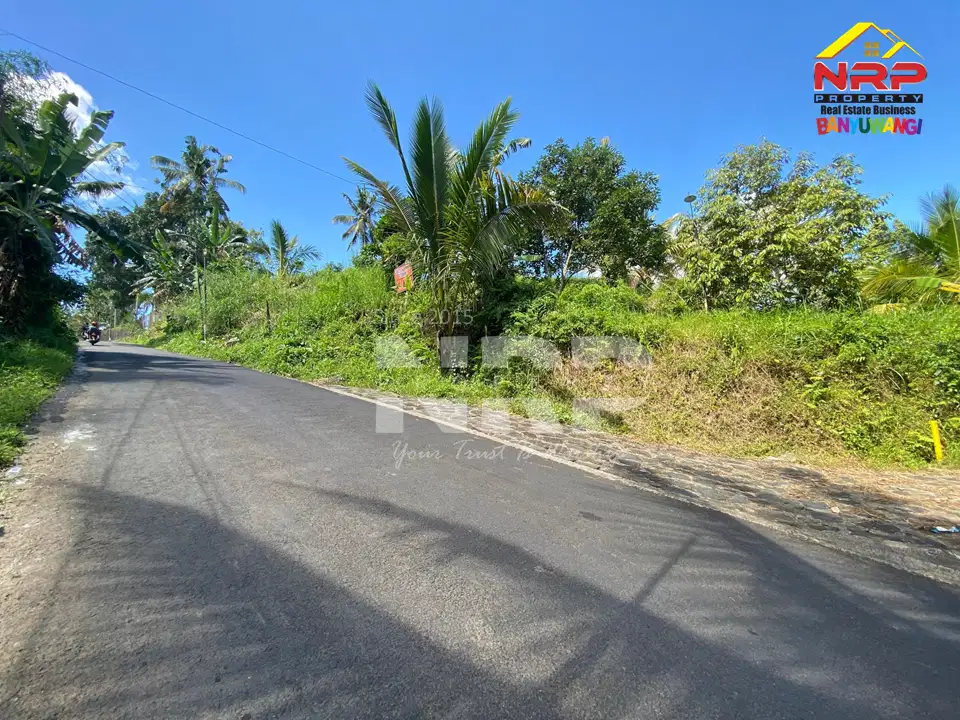 Dijual Tanah Kebun + Sawah Luas di  Licin - Banyuwangi