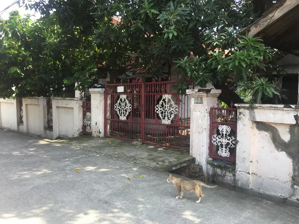 Di Jual Cepat Rumah Tua Tanah Luas Lokasi Strategis di Tanjung Priok,