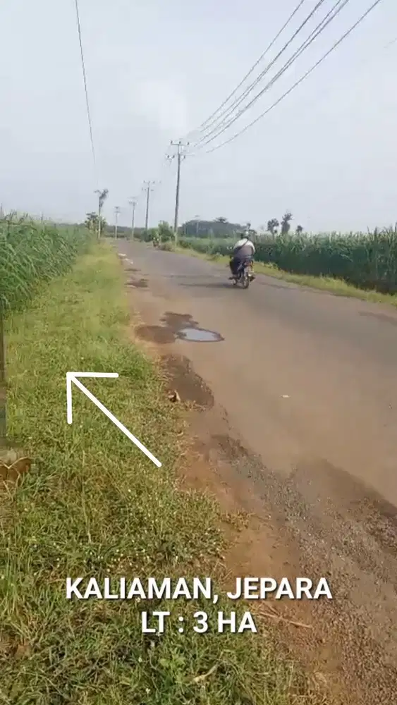 DIJUAL TANAH JEPARA, TANAH INDUSTRI DI KALIAMAN JEPARA