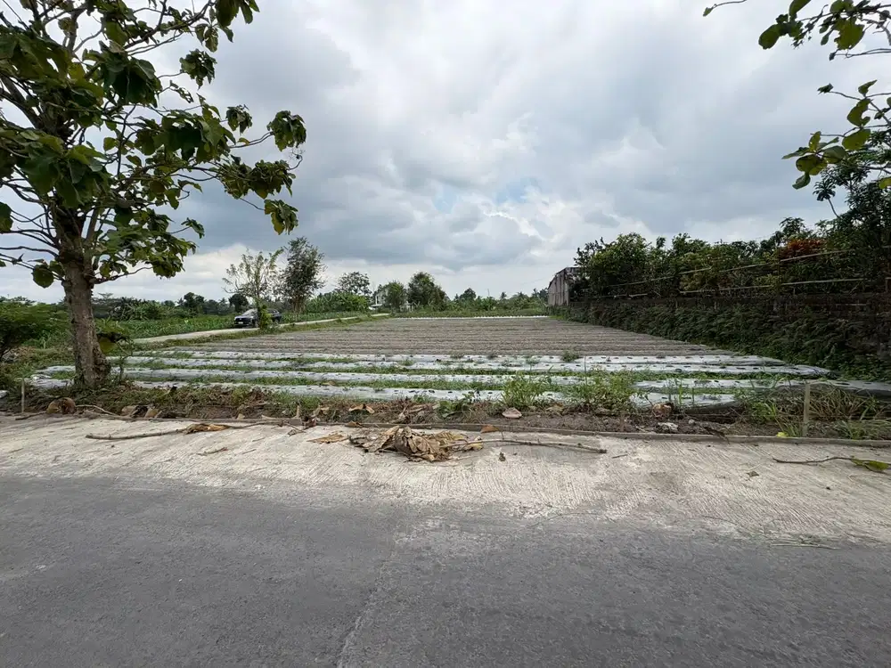 Tanah murah Sleman 2 jtan dekat UII Kaliurang cocok hunian dan villa