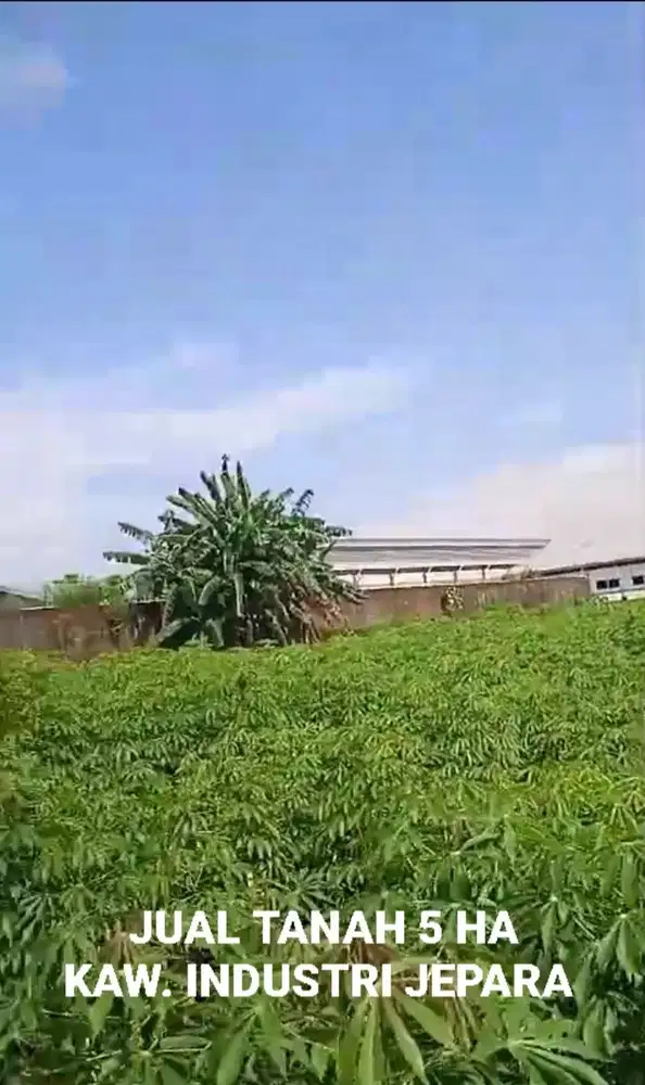 DIJUAL LAHAN INDUSTRI JEPARA, BATEALIT JEPARA