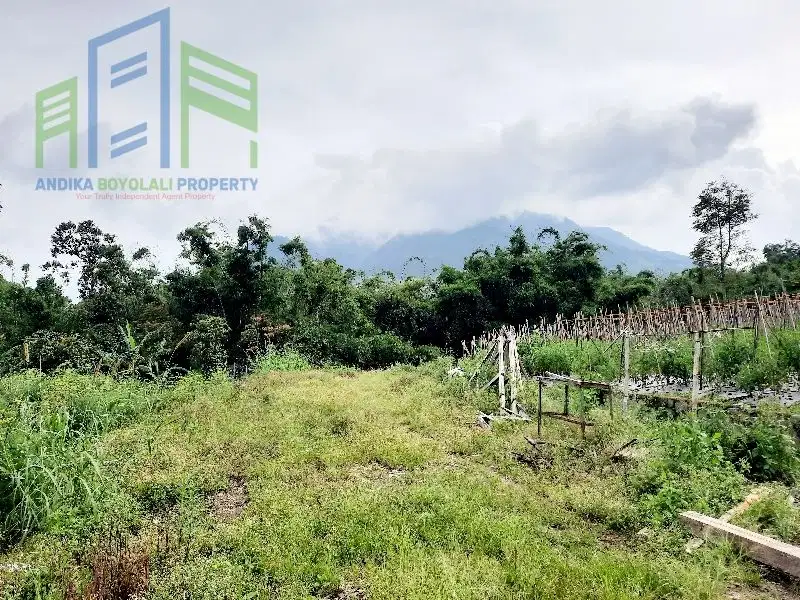 Dijual Tanah strategis dengan view pegunungan di Selo Boyolali