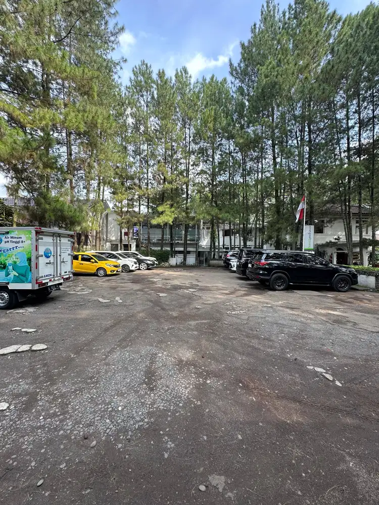 HIDDEN GEM  Satu -Satunya HOTEL  ditengah hutan pinus di Jantung Kota