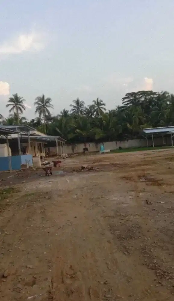 Dijual tanah di mekarsari panimbang  Banten