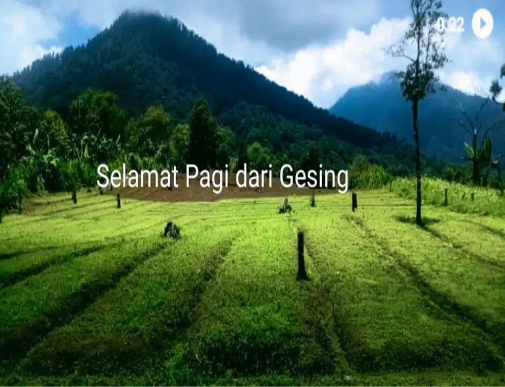 DIJUAL TANAH MURAH DI BUKIT BULELENG BALI