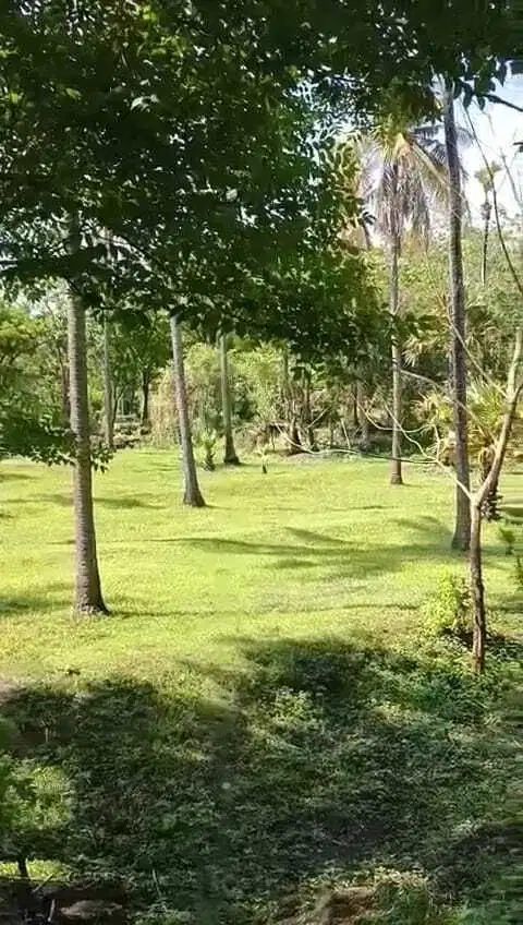 Tanah los pantai Amed karangasem di jual murah