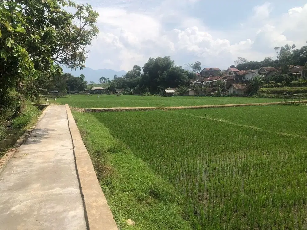 Tanah sawah dekat jln raya Tanjungsari msk motor