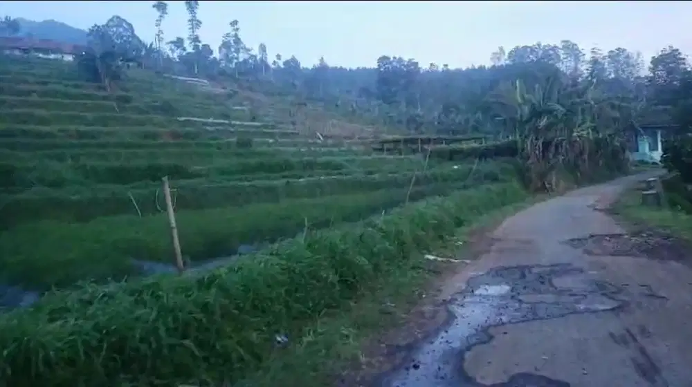 Tanah kebun udara sejuk, pinggir jln desa Cijambu