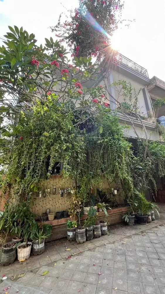 Jual rumah semi villa area renon