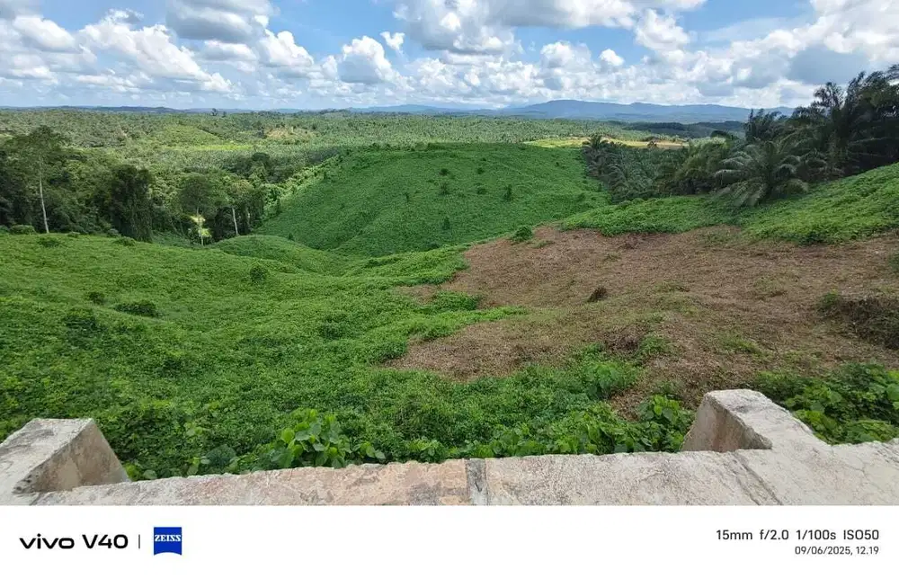 Dijual Cepat Tanah Murah Di Pinggir Jalan IKN Nusantara Penajam