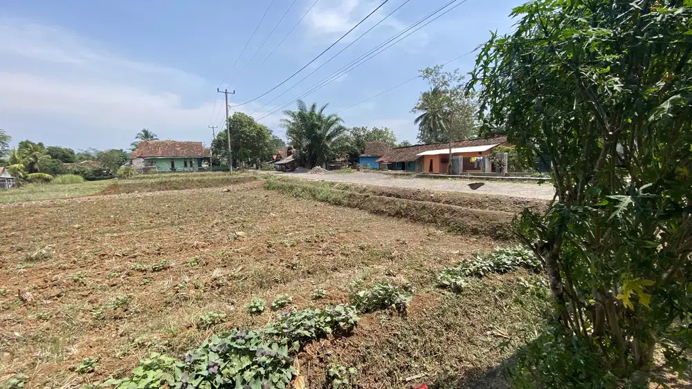 dekat technopark, Villa, developer, gudang, cocok untuk lahan ini