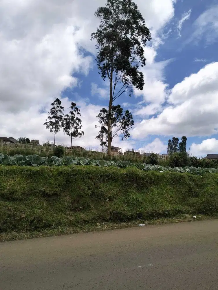 Dijual Tanah Mainroad View Danau Situ Cileunca Pangalengan