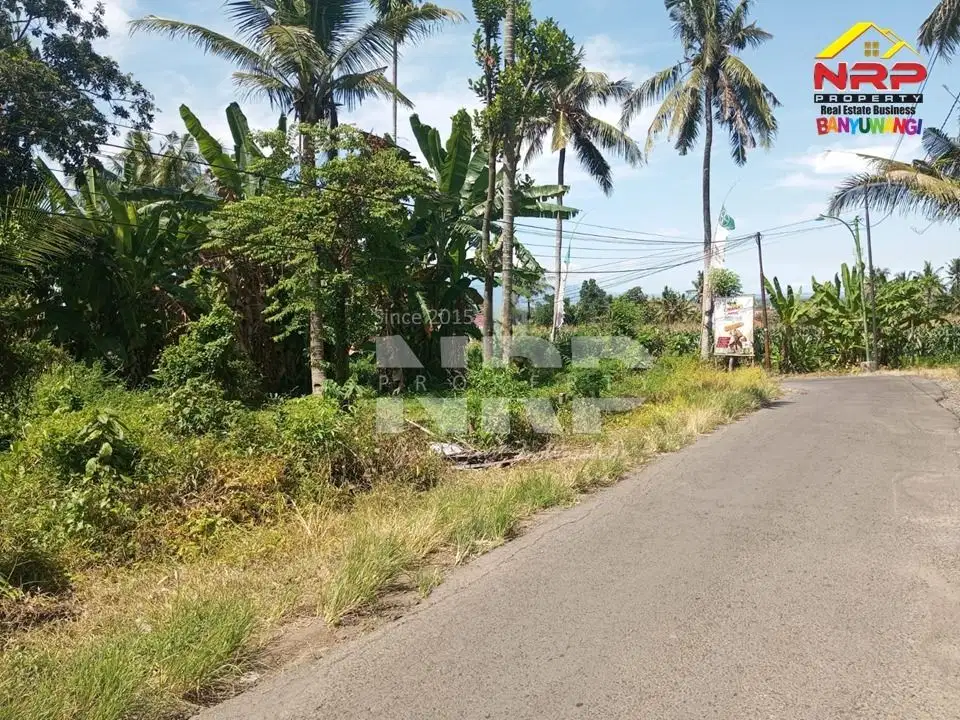 Dijual Tanah Siap Bangun di Kebalenan - Banyuwangi