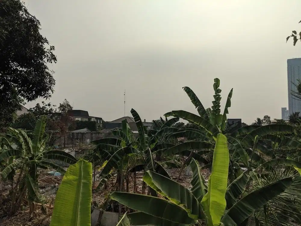 FOR RENT Tanah di Kuningan Area